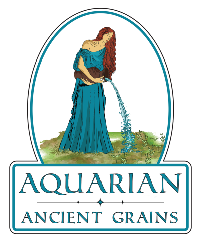Aquarian Logo final
